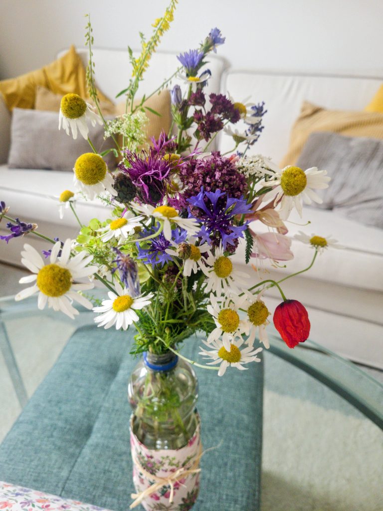 Geklaute Blumen aus Blankenese