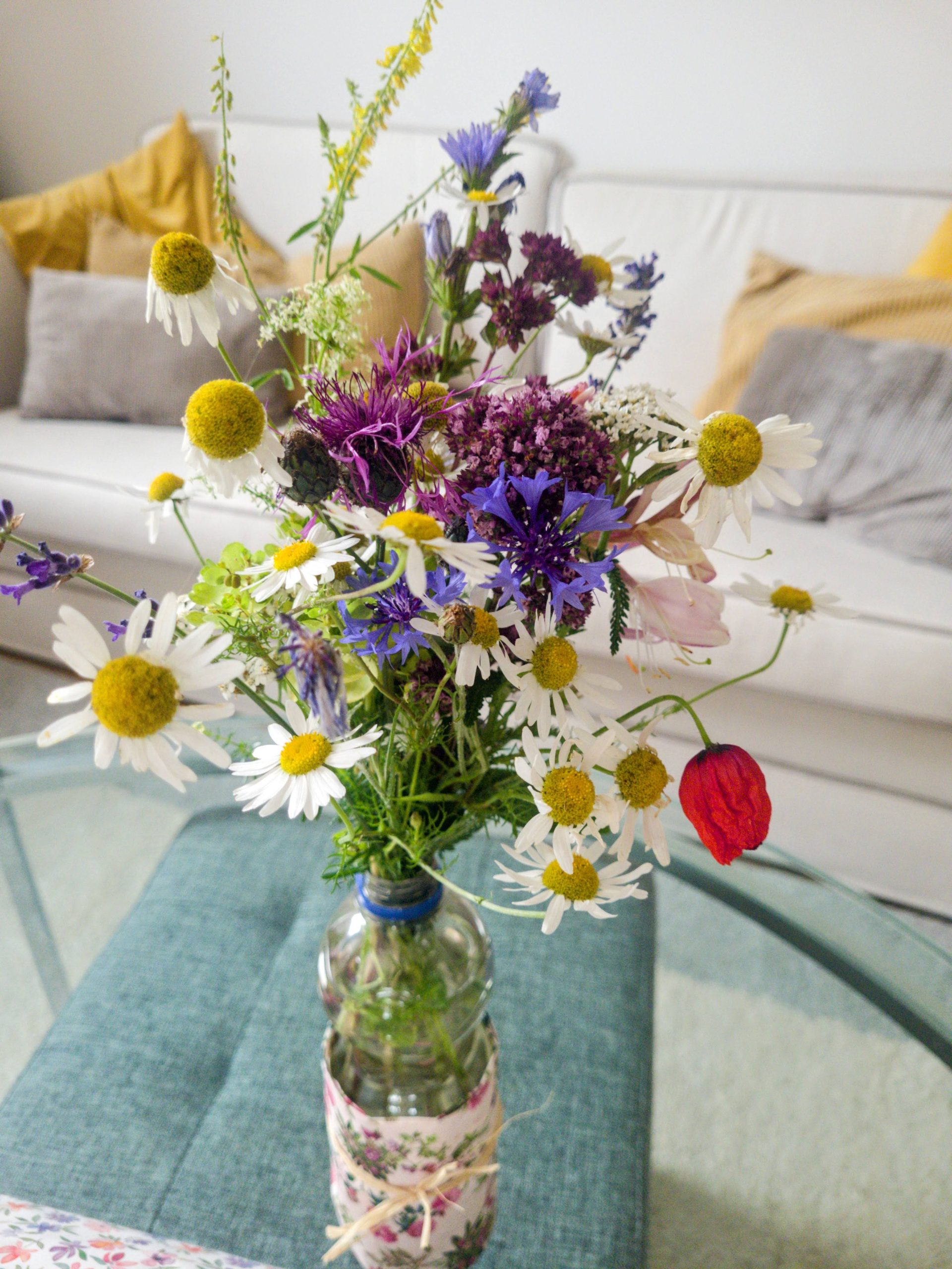 Geklaute Blumen aus Blankenese