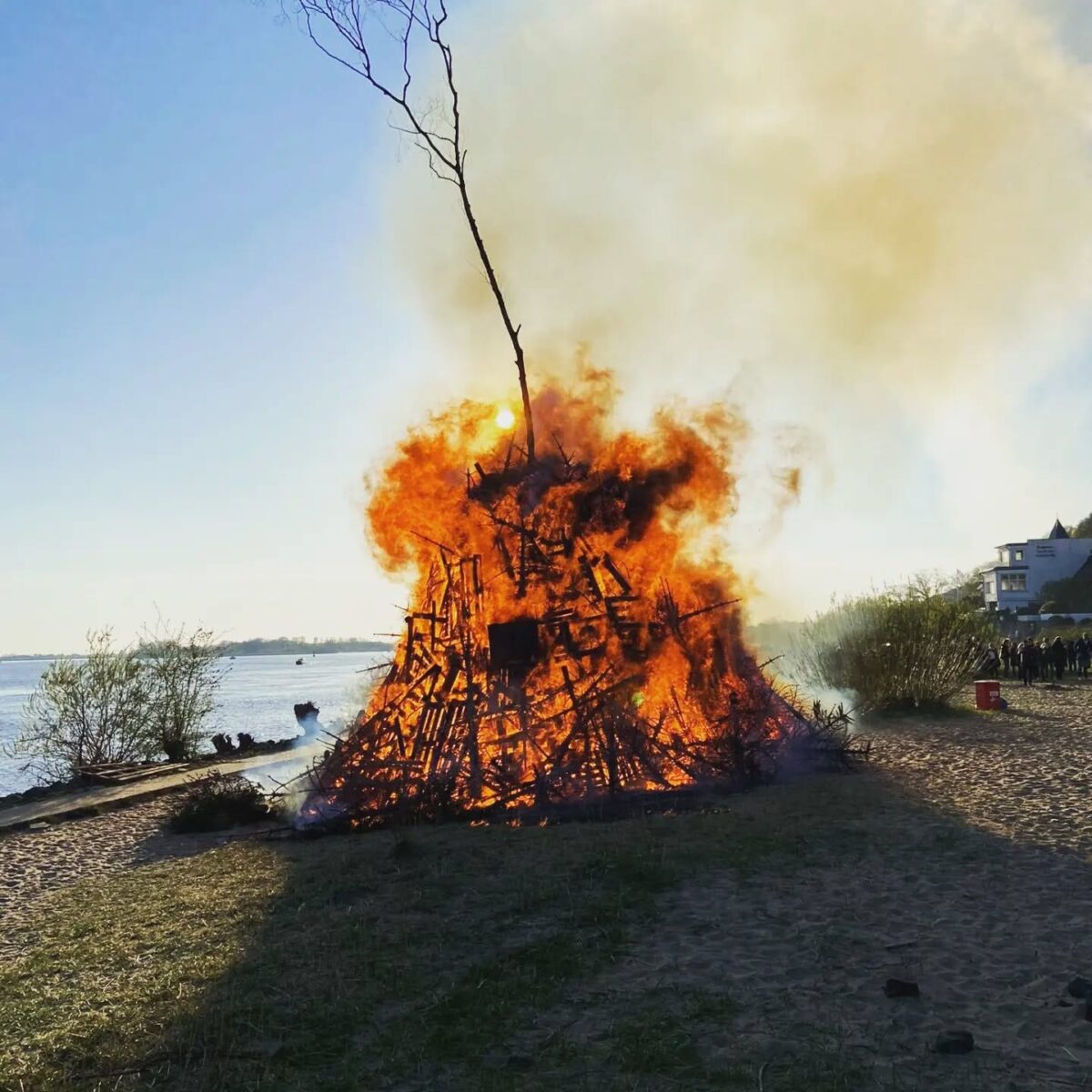 Tiere, Feuer, Sensationen