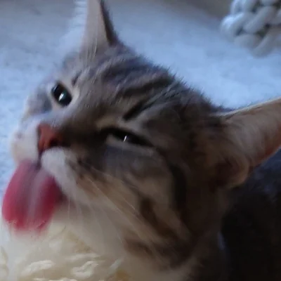 Dienstag 🌻ANTIFASCHISMUS 👍🏼