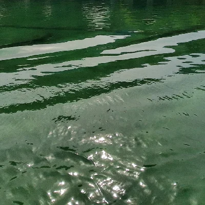Sea of Mogh
